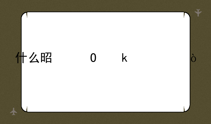 什么是专业代码？