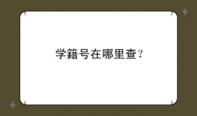 学籍号在哪里查？