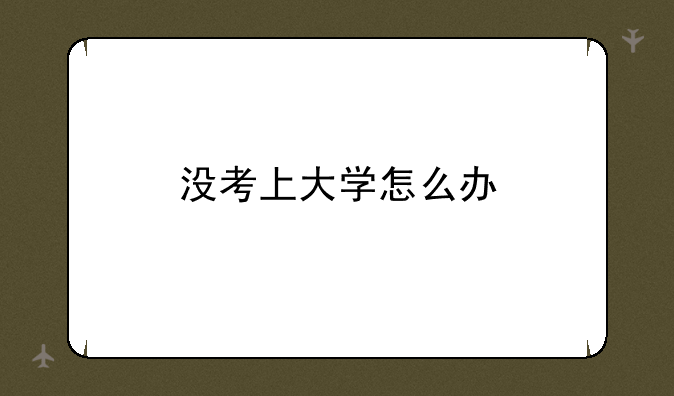 没考上大学怎么办