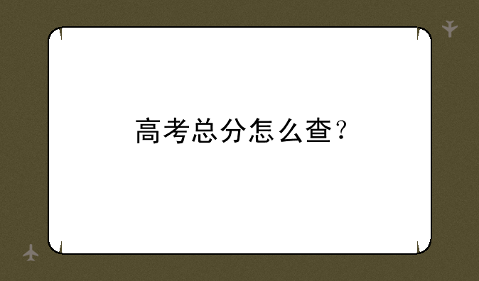 高考总分怎么查？