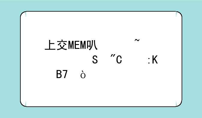 上交MEM可以查考研成绩排名？