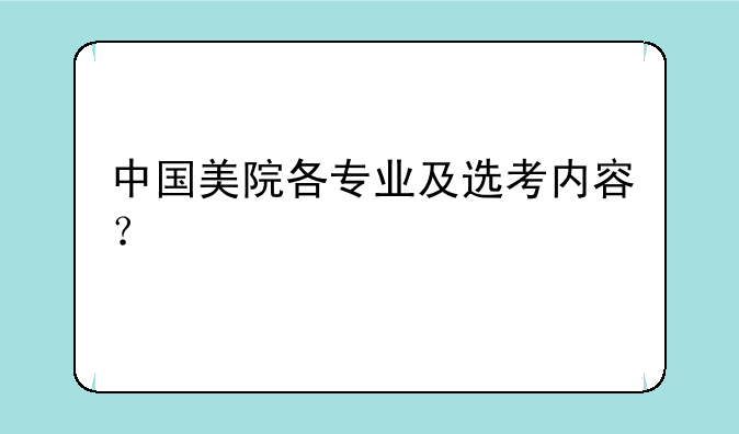 中国美院各专业及选考内容？