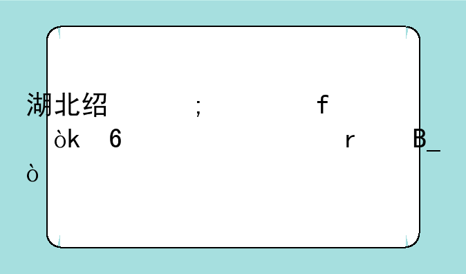 湖北经济学院会升为一本吗？
