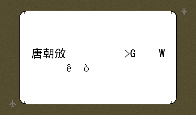 唐朝政治发展大纲？