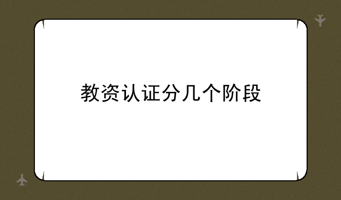 教资认证分几个阶段