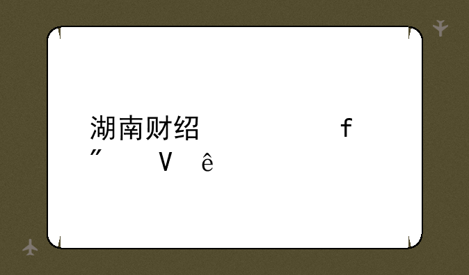 湖南财经学院分数线