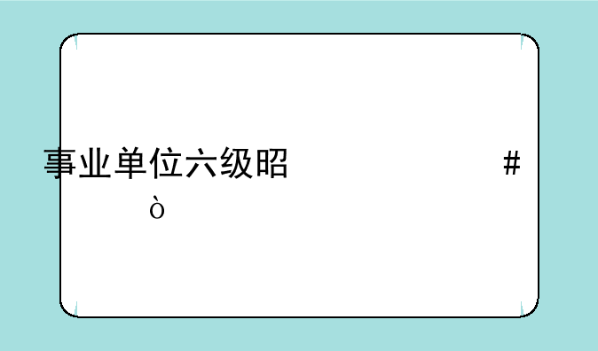 事业单位六级是什么概念？