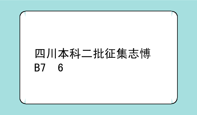 四川本科二批征集志愿名单