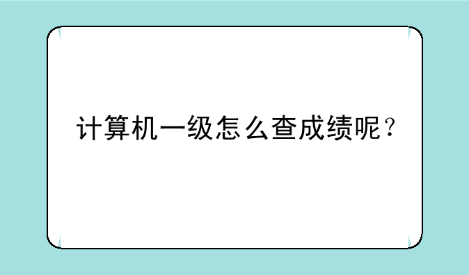 计算机一级怎么查成绩呢？