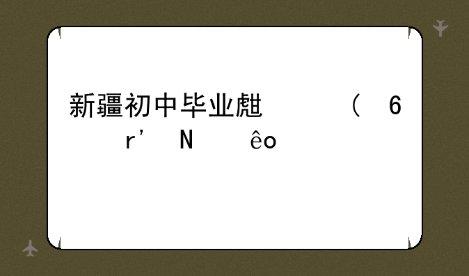 新疆初中毕业生上3十2有哪些学校
