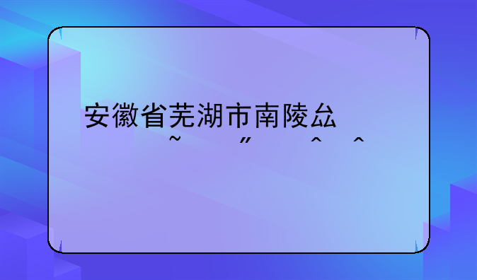 安徽省芜湖市南陵县中考查分时间