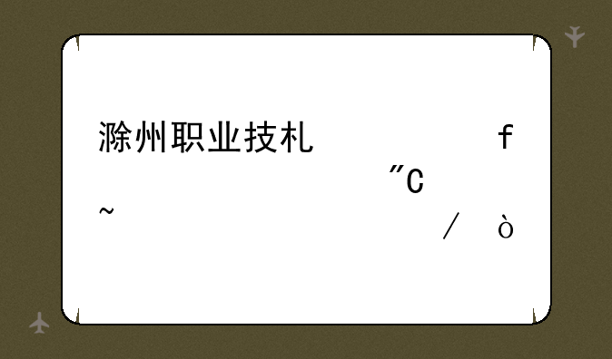 滁州职业技术学院校考成绩查询流程？