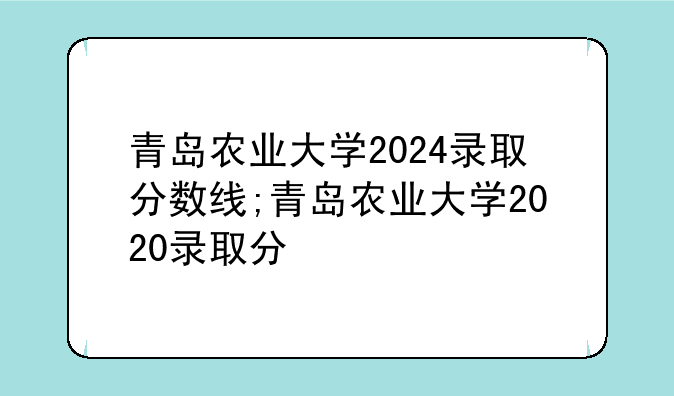青岛农业大学2024录取分数线;青岛农业大学2020录取分