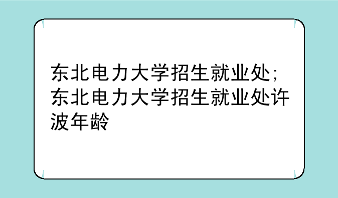 东北电力大学招生就业处;东北电力大学招生就业处许波年龄