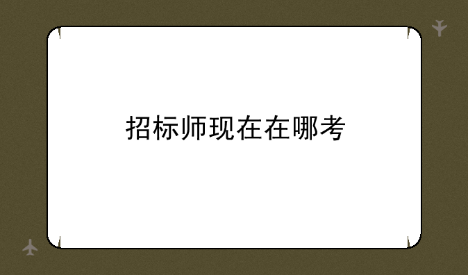 招标师现在在哪考